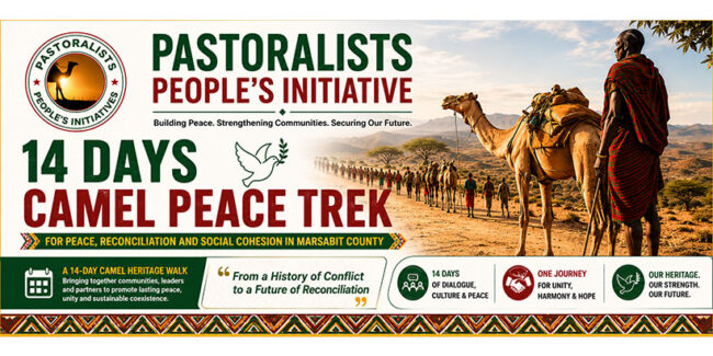 PPI-News-Header